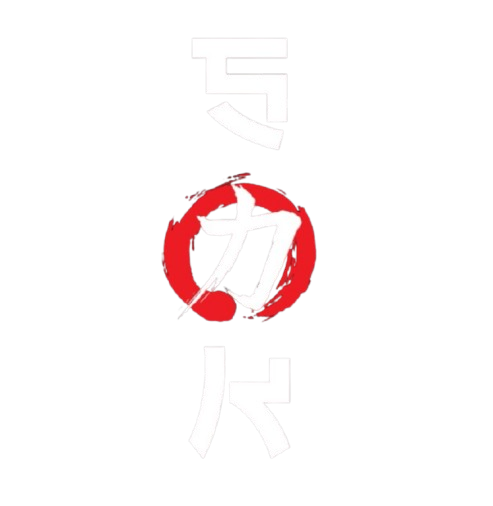 SK Martial Arts Academy